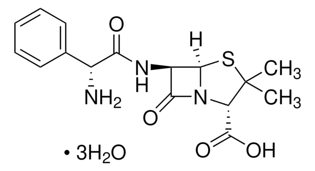 Ampicillin trihydrate British Pharmacopoeia (BP) Reference Standard