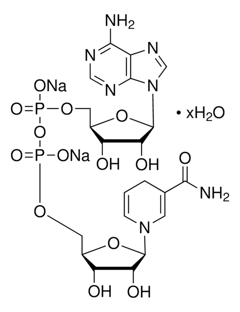 &#946;-Nicotinamide adenine dinucleotide, reduced disodium salt hydrate &#8805;95.0% (HPLC)