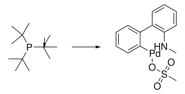 P(t-Bu)3 Pd G4 ChemBeads