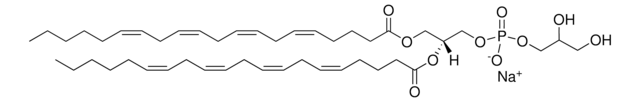 20:4 PG Avanti Research&#8482; - A Croda Brand 840490C