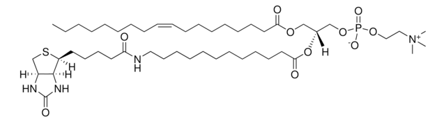 18:1-12:0 Biotin PC Avanti Research&#8482; - A Croda Brand 860563P, powder