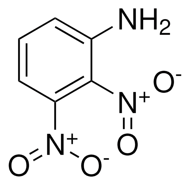 2,3-DINITRO-PHENYLAMINE AldrichCPR