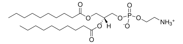 10:0 PE 1,2-didecanoyl-sn-glycero-3-phosphoethanolamine, powder