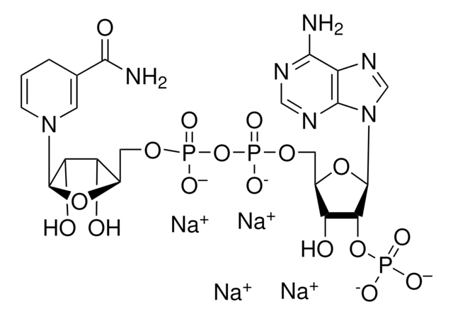 &#946;-Nicotinamide adenine dinucleotide 2&#8242;-phosphate reduced tetrasodium salt vial of 1&#160;mg