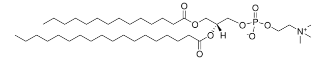 14:0-18:0 PC 1-myristoyl-2-stearoyl-sn-glycero-3-phosphocholine, chloroform