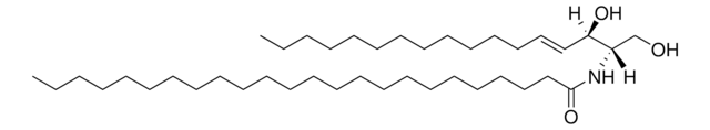 C24 Ceramide (d17:1/24:0) Avanti Research&#8482; - A Croda Brand 860649P, powder