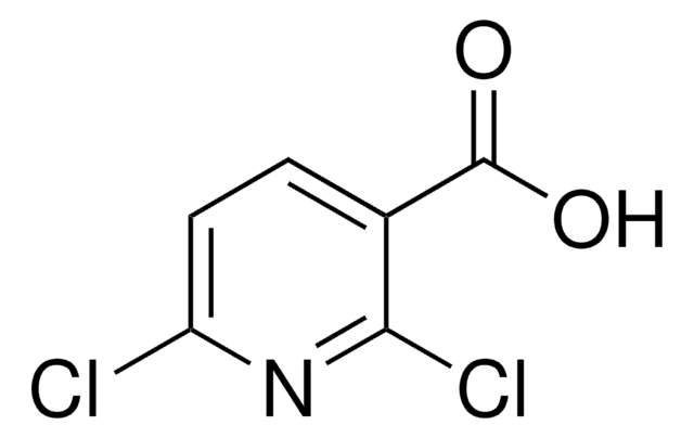 2,6-Dichloropyridine-3-carboxylic acid 97%