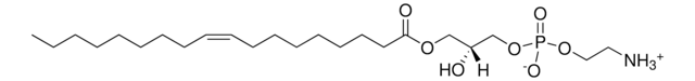 18:1 Lyso PE Avanti Research&#8482; - A Croda Brand