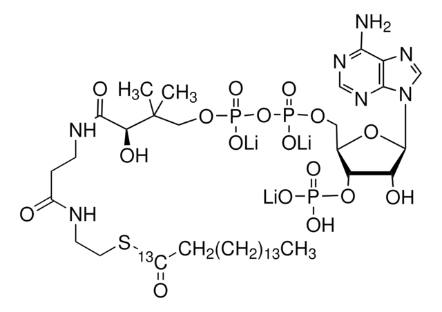 Palmitoyl-1-13C coenzyme A lithium salt 99 atom % 13C, 95% (CP)