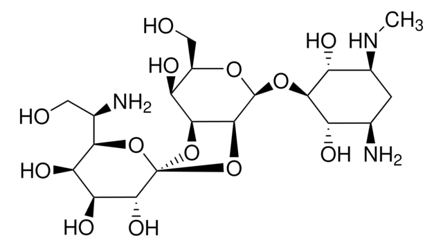 Hygromycin B, Min. 95% (HPLC ELSD) Ready Made Solution 50&#160;mg/mL in water (from Streptomyces hygroscopicus)