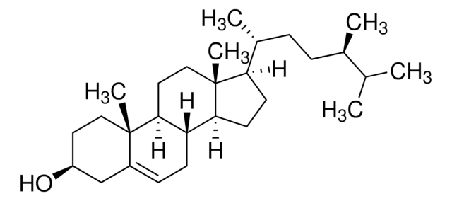 Campesterol phyproof&#174; Reference Substance