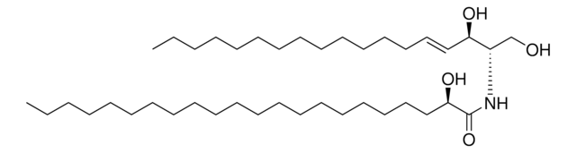 22:0(2R-OH) Ceramide Avanti Research&#8482; - A Croda Brand 860821P, powder