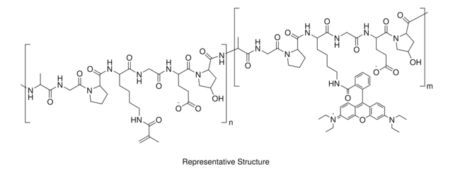 GelMA-RB 60% methacrylation, 1 umol Rhodamine B per gram material