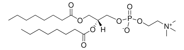 08:0 PC 1,2-dioctanoyl-sn-glycero-3-phosphocholine, chloroform