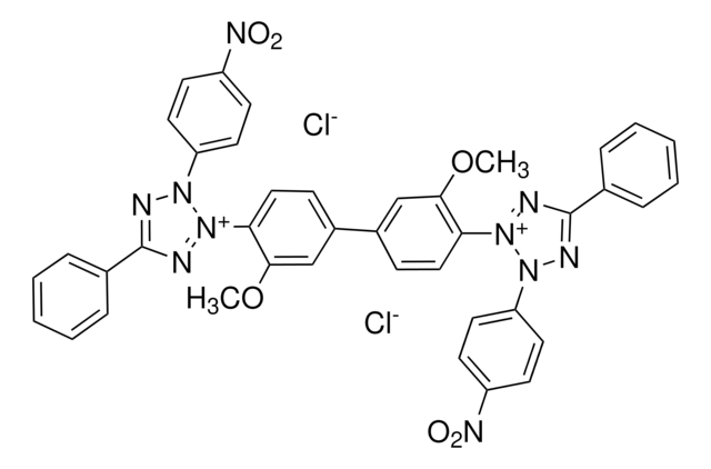 Nitrotetrazolium Blue chloride powder, electrophoresis grade