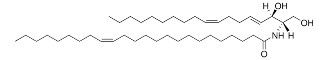 C24:1 Ceramide (d18:2(4E,8Z)/24:1(15Z)) Avanti Research&#8482; - A Croda Brand 860691P, powder