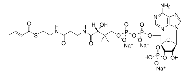 04:1 Coenzyme A Avanti Research&#8482; - A Croda Brand 870709P, powder