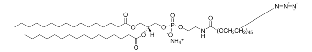 DPPE-PEG(2000)Azide Avanti Research&#8482; - A Croda Brand, powder