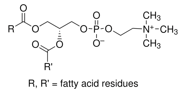 L-&#945;-Lecithin, Soybean L-&#945;-Lecithin, Soybean, CAS 8002-43-5, is a concentrate of soybean lecithin consisting of more than 94% phosphatidylcholine and less than 2% triglycerides.