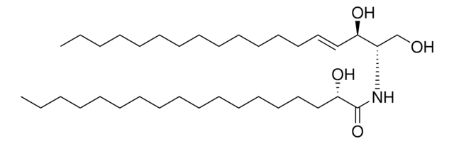 18:0(2S-OH) Ceramide Avanti Research&#8482; - A Croda Brand 860830P, powder