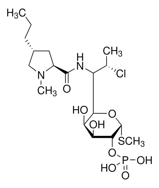 Clindamycin 2-phosphate aminoglycoside antibiotic