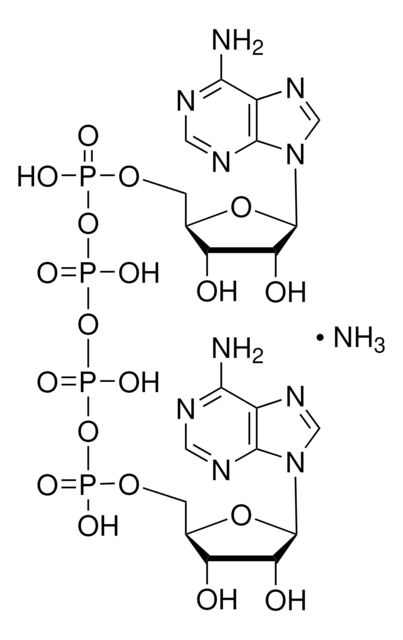 P1,P4-Di(adenosine-5&#8242;) tetraphosphate ammonium salt &#8805;95% (HPLC), powder