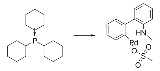 PCy3 Pd G4 ChemBeads