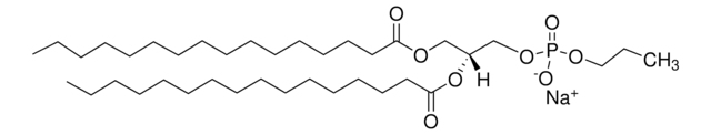 16:0 Phosphatidylpropanol 1,2-dipalmitoyl-sn-glycero-3-phosphopropanol (sodium salt), powder