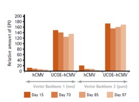 UCOE&#174; Expression Vector - Human 4kb Puro Set - Novagen&#174;