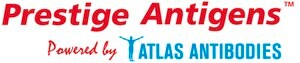 PrEST Antigen PTPN1 Prestige Antigens&#8482; Powered by Atlas Antibodies, buffered aqueous solution