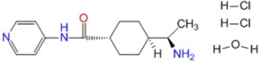 Y-27632 InSolution, &#8805;95%, 10 mM aqueous solution, Sterile-Filtered, inhibitor of Rho-associated protein kinases