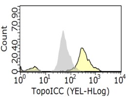 Anti-Topoisomerase I-DNA Covalent Complexes Antibody, clone 1.1A clone 1.1A, from mouse